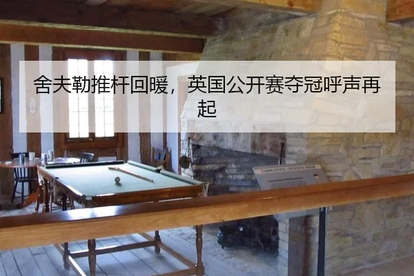 she-fu-lei-tui-gan-hui-nuan-ying-guo-gong-kai-sai-duo-guan-hu-sheng-zai-qi-2-253.jpg