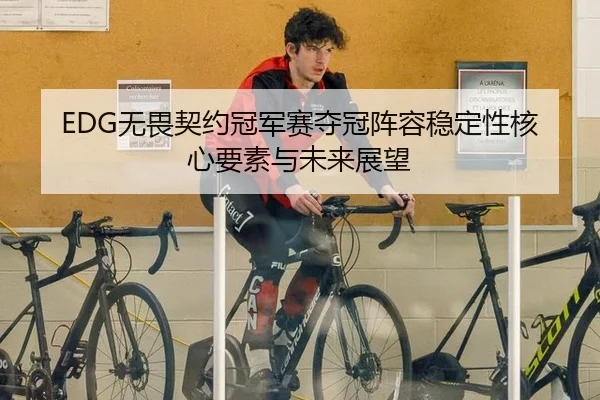EDG无畏契约冠军赛夺冠阵容稳定性核心要素与未来展望